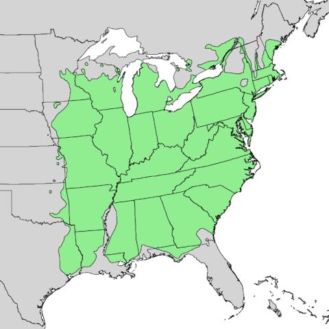Map showing range of white oak trees in the USA