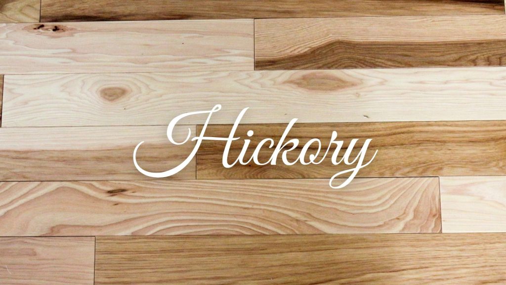 Hickory Blog Banner