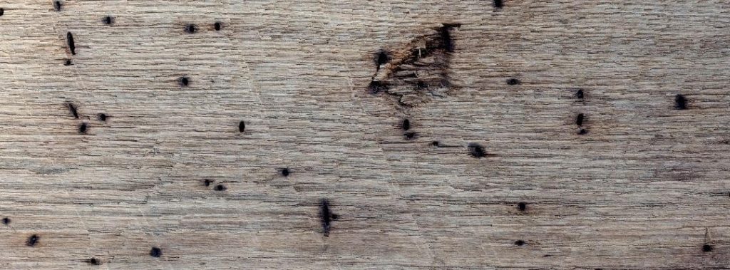 Wormy Chestnut wood board