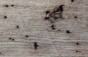 Wormy Chestnut wood board